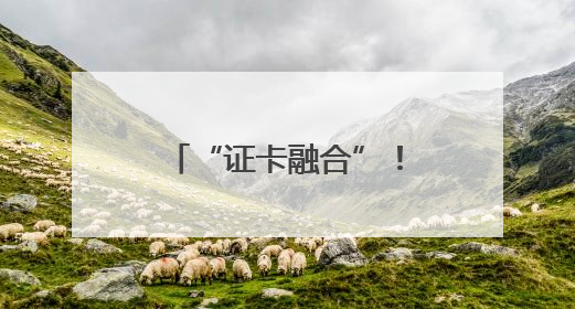 “证卡融合”！济南成功发放首张加载外国人工作许可信息的社保卡