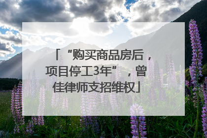 “购买商品房后，项目停工3年”，曾佳律师支招维权