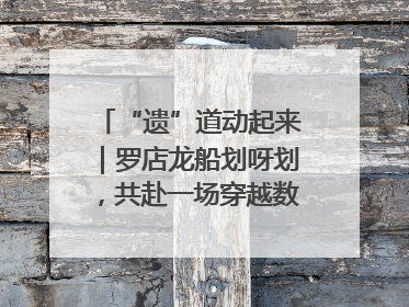 “遗”道动起来｜罗店龙船划呀划，共赴一场穿越数百年的端午之约