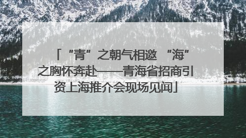 “青”之朝气相邀 “海”之胸怀奔赴——青海省招商引资上海推介会现场见闻