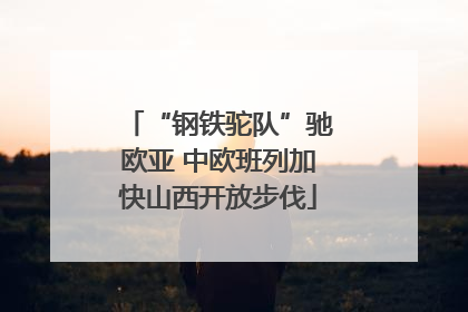 “钢铁驼队”驰欧亚 中欧班列加快山西开放步伐