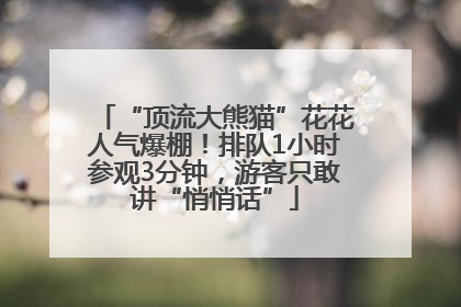 “顶流大熊猫”花花人气爆棚！排队1小时参观3分钟，游客只敢讲“悄悄话”