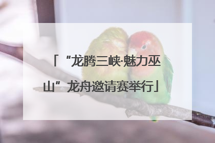 “龙腾三峡·魅力巫山”龙舟邀请赛举行