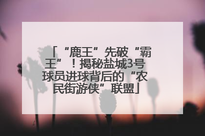 “鹿王”先破“霸王”！揭秘盐城3号球员进球背后的“农民街游侠”联盟