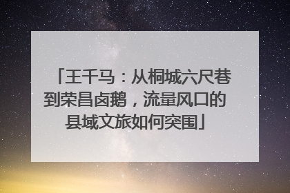 王千马：从桐城六尺巷到荣昌卤鹅，流量风口的县域文旅如何突围