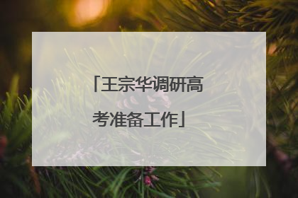 王宗华调研高考准备工作