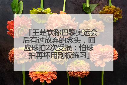 王楚钦称巴黎奥运会后有过放弃的念头，回应球拍2次受损：怕球拍再坏用副板练习