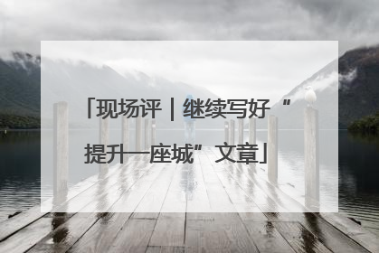 现场评｜继续写好“提升一座城”文章