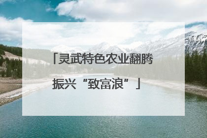 灵武特色农业翻腾振兴“致富浪”