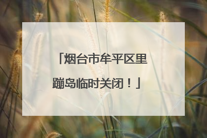 烟台市牟平区里蹦岛临时关闭！