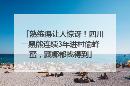 熟练得让人惊讶！四川一黑熊连续3年进村偷蜂蜜，藏哪都找得到