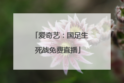 爱奇艺：国足生死战免费直播