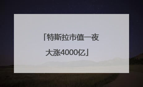 特斯拉市值一夜大涨4000亿