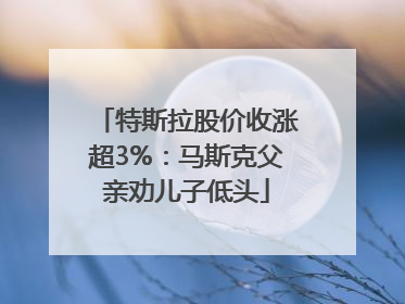 特斯拉股价收涨超3%：马斯克父亲劝儿子低头