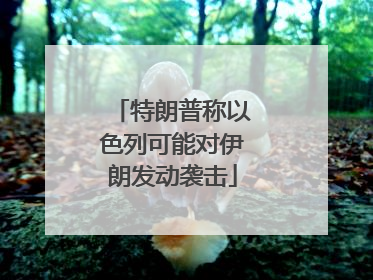 特朗普称以色列可能对伊朗发动袭击