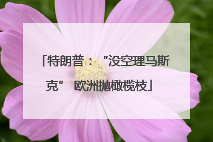 特朗普：“没空理马斯克” 欧洲抛橄榄枝