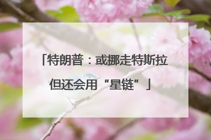 特朗普：或挪走特斯拉 但还会用“星链”