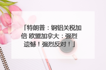 特朗普：钢铝关税加倍 欧盟加拿大：强烈遗憾！强烈反对！