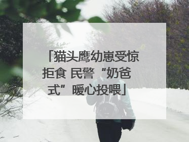 猫头鹰幼崽受惊拒食 民警“奶爸式”暖心投喂