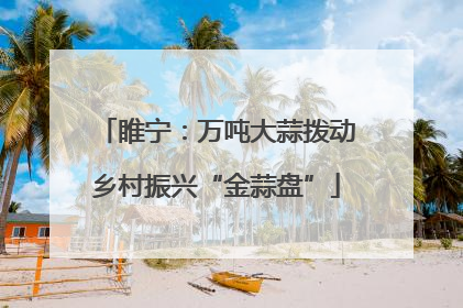 睢宁：万吨大蒜拨动乡村振兴“金蒜盘”