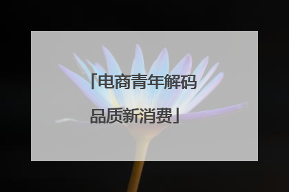 电商青年解码品质新消费