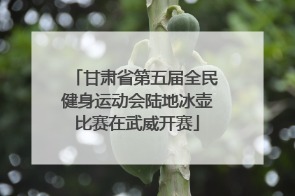 甘肃省第五届全民健身运动会陆地冰壶比赛在武威开赛