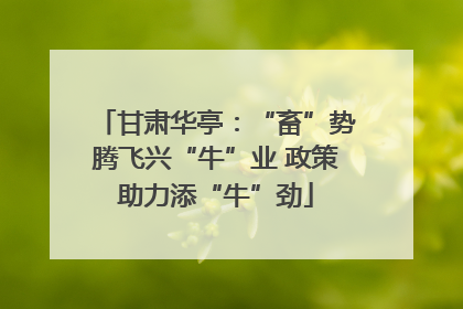 甘肃华亭：“畜”势腾飞兴“牛”业 政策助力添“牛”劲