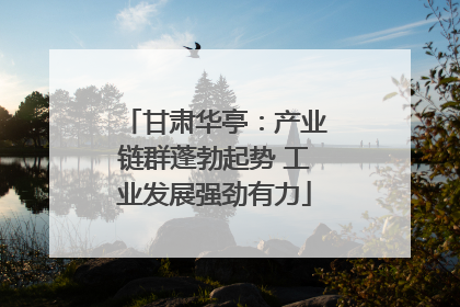 甘肃华亭：产业链群蓬勃起势 工业发展强劲有力