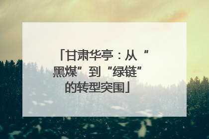 甘肃华亭：从“黑煤”到“绿链”的转型突围