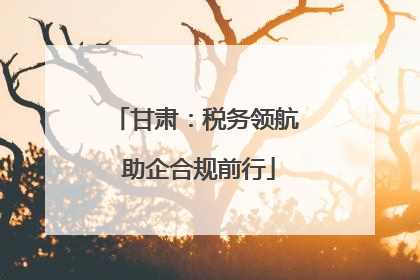 甘肃：税务领航 助企合规前行