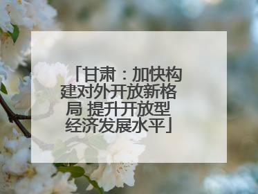 甘肃：加快构建对外开放新格局 提升开放型经济发展水平