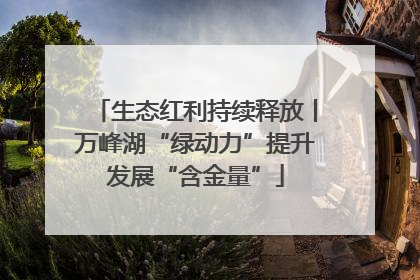 生态红利持续释放丨万峰湖“绿动力”提升发展“含金量”