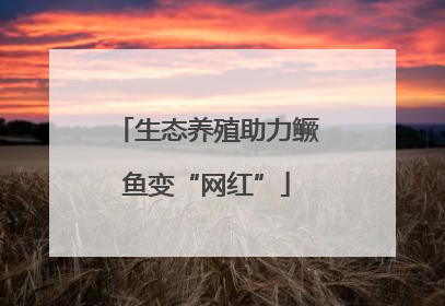 生态养殖助力鳜鱼变“网红”