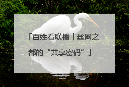 百姓看联播丨丝网之都的“共享密码”