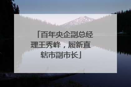 百年央企副总经理王秀峰，履新直辖市副市长