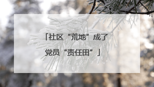 社区“荒地”成了党员“责任田”