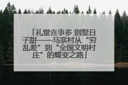 礼堂喜事多 别墅日子甜——马寨村从“穷乱差”到“全国文明村庄”的蝶变之路