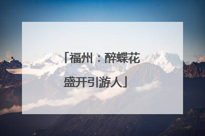 福州：醉蝶花盛开引游人