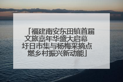 福建南安东田镇首届文旅嘉年华盛大启幕 圩日市集与杨梅采摘点燃乡村振兴新动能
