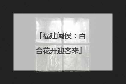 福建闽侯：百合花开迎客来