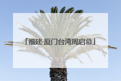 福建·厦门台湾周启幕