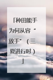 种田能手为何从容“放手”（三夏进行时）