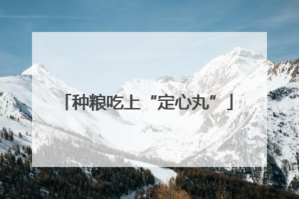 种粮吃上“定心丸”