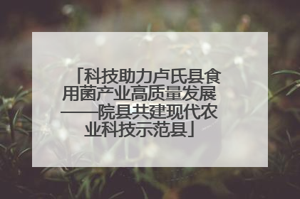 科技助力卢氏县食用菌产业高质量发展——院县共建现代农业科技示范县