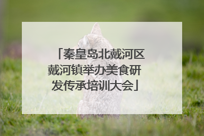 秦皇岛北戴河区戴河镇举办美食研发传承培训大会