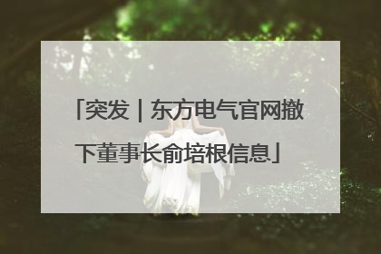 突发｜东方电气官网撤下董事长俞培根信息