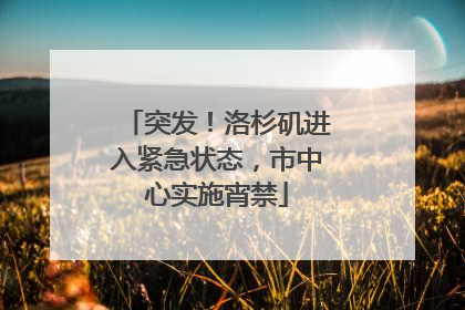 突发！洛杉矶进入紧急状态，市中心实施宵禁