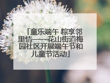 童乐端午 粽享邻里情——花山街道梅园社区开展端午节和儿童节活动