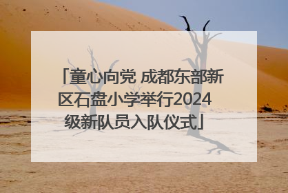 童心向党 成都东部新区石盘小学举行2024级新队员入队仪式