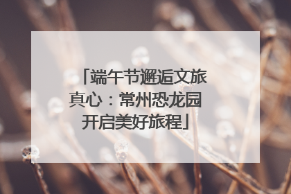 端午节邂逅文旅真心：常州恐龙园开启美好旅程